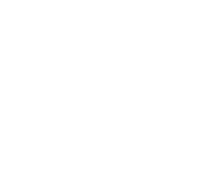 llantas agricolas